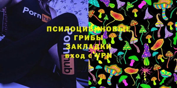 трава Новодвинск