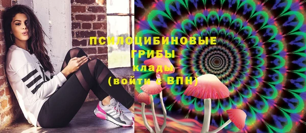 хмурый Няндома