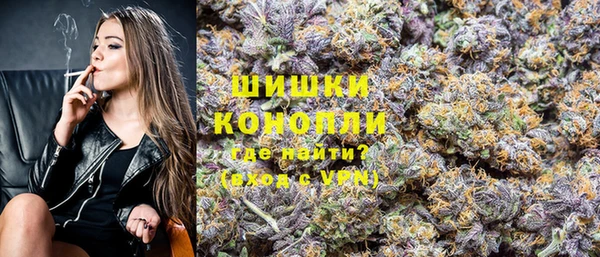 трава Новодвинск