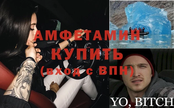 сатива Козельск