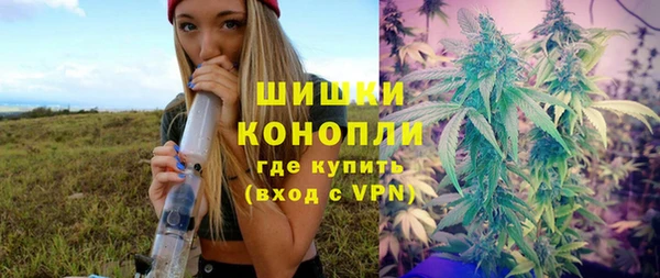 хмурый Няндома