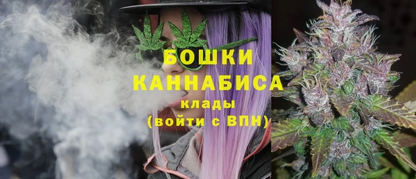 хмурый Няндома