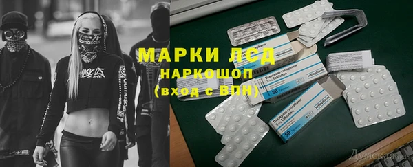 apvp Новозыбков