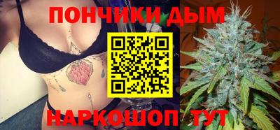 гидра Заводоуковск