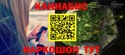 гидра Заводоуковск