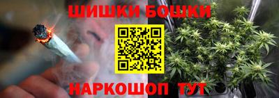 гидра Заводоуковск