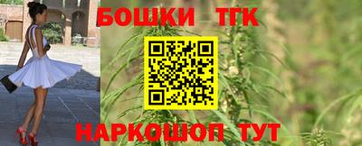 гидра Заводоуковск